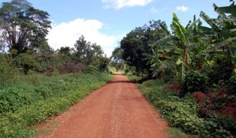 Image for Buvuma island uganda