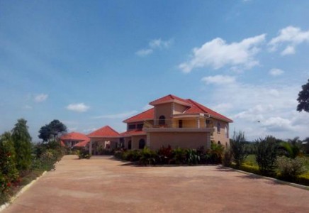 Image for Entebbe Road, Uganda