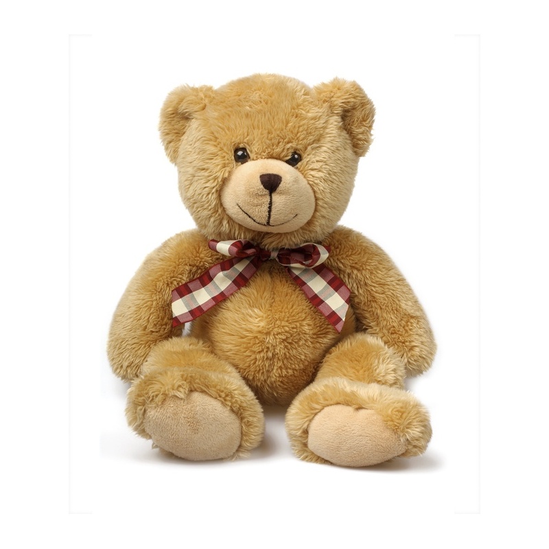 Teddy Bear Lovely gift 