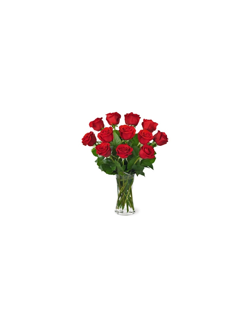 JNS Red Rose Bouquet